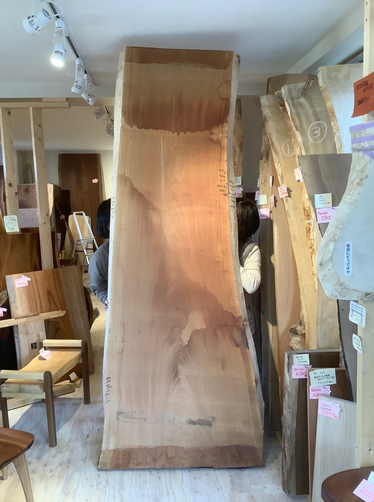 荒材ケヤキ③